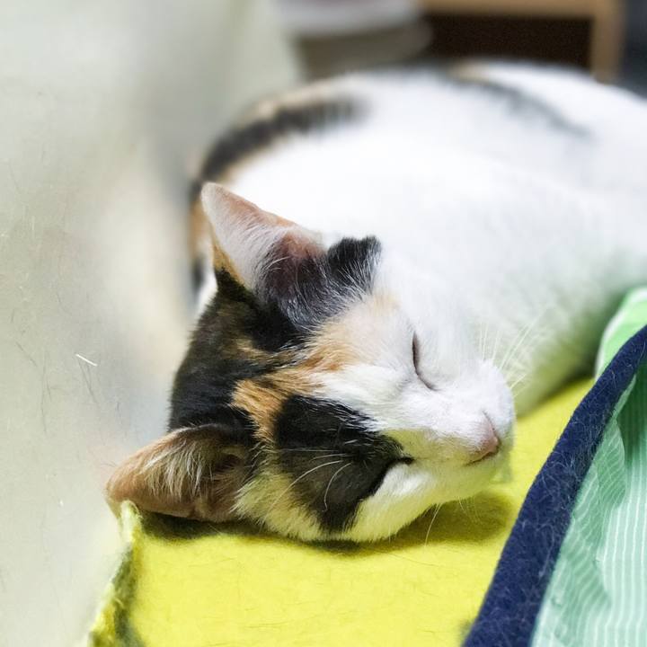 D4d39610 81f2 4d63 9070 e511f7ec1dac