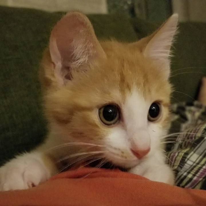 D4d3c100 28f9 45cb 8dea 729d593c6b66