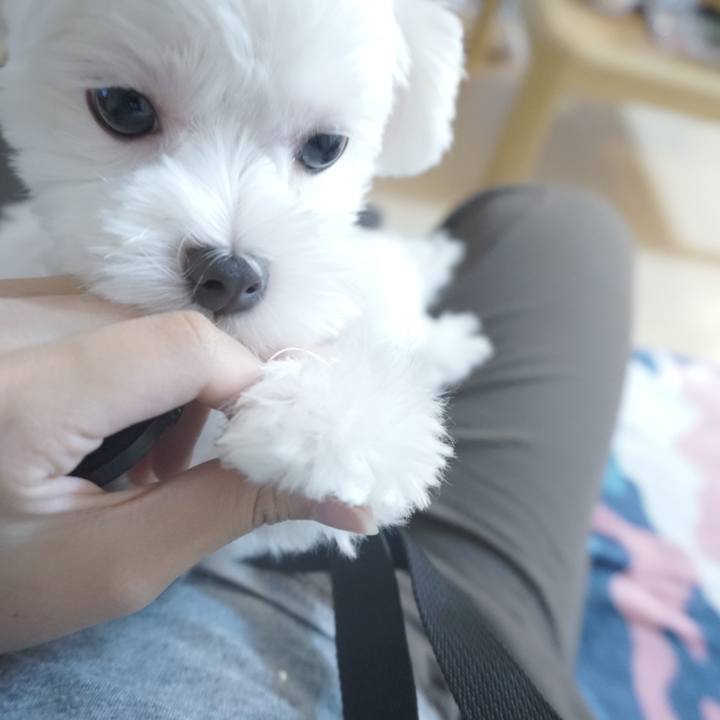 D4d4659a e6a0 42ac a84b 87fd5b7b00b3