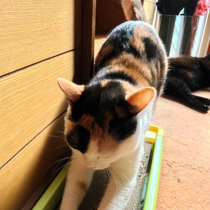 D4d4879a a1db 4392 8403 4df8730242ea