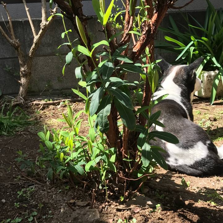 D4d51713 787c 4e0b 8508 73c3097a2f41