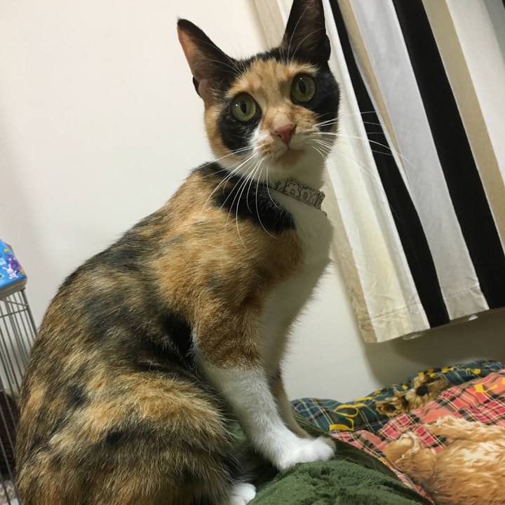 D4d55d09 eb31 4aa4 a6f7 7862821f5f1e