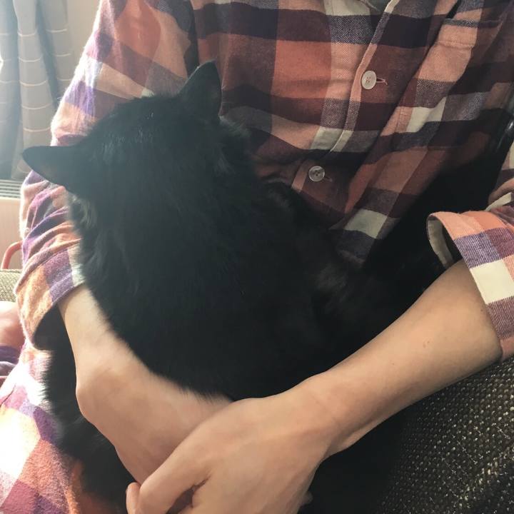 D4d57eb8 777e 400f 93a0 835480bcb2a5