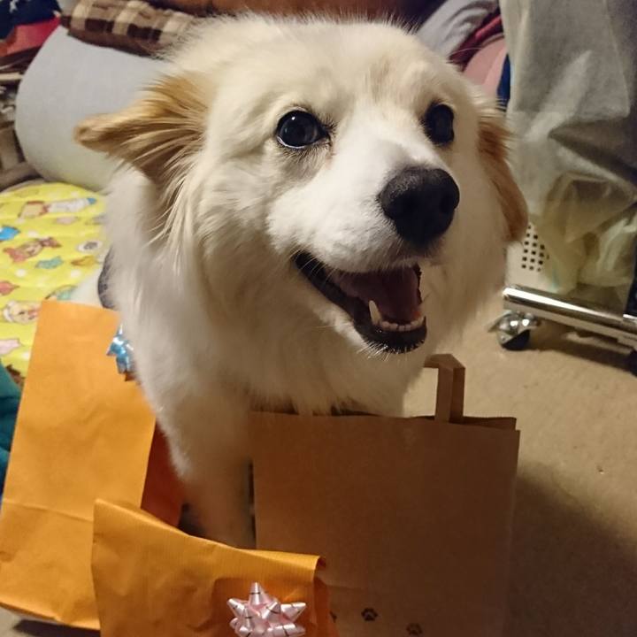 D4d58601 ab4b 40f2 931c dbcc61939298