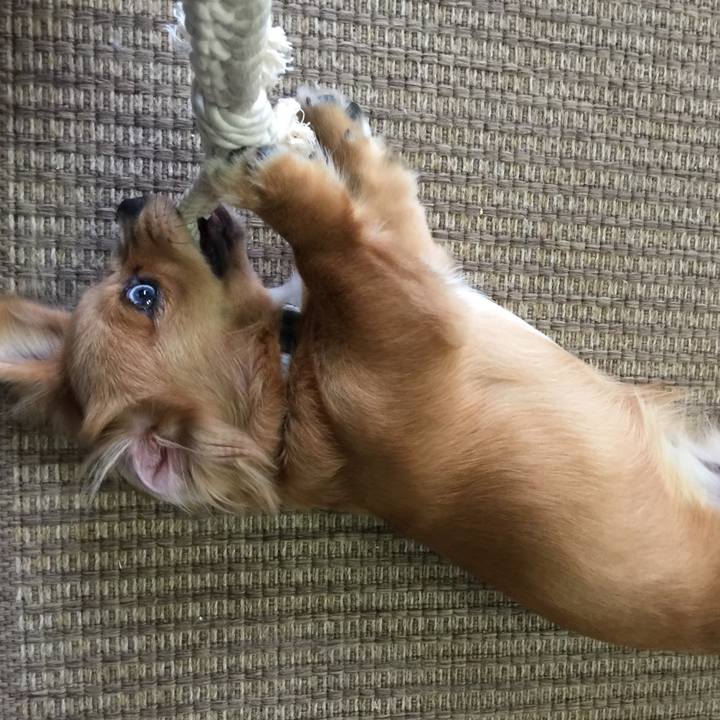 D4d64843 5f4b 4cab 8419 7f11ed23f60c