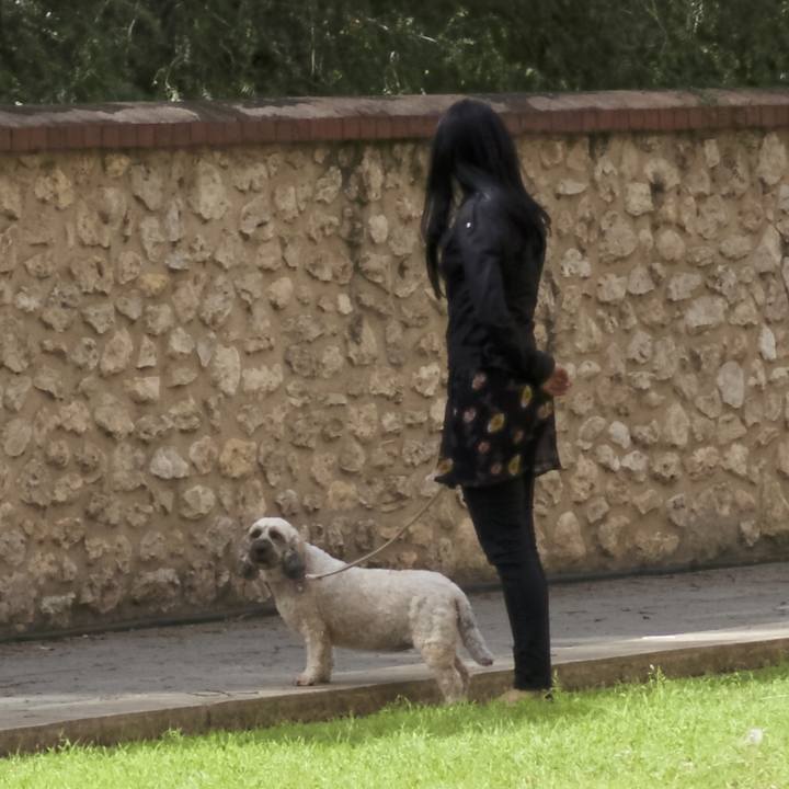 D4d6823c 5a73 431b bb40 c187a53599b6