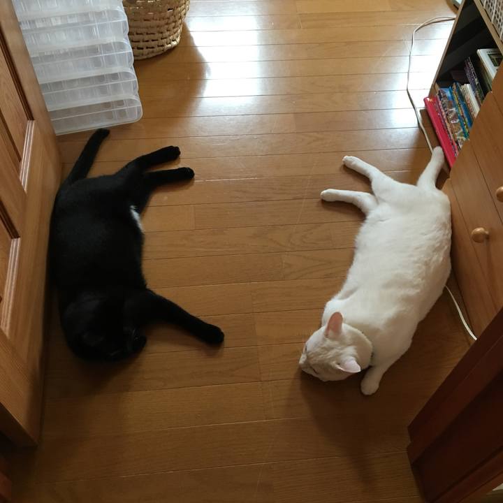 D4d682bd f027 44bc 88e9 7c134ce196c2