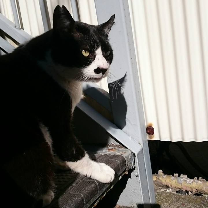 D4d794e5 c69e 4b65 8e84 2558811e3258