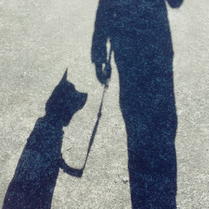 D4d7e7fd 6cfa 47fd 8423 8d40e555c08a