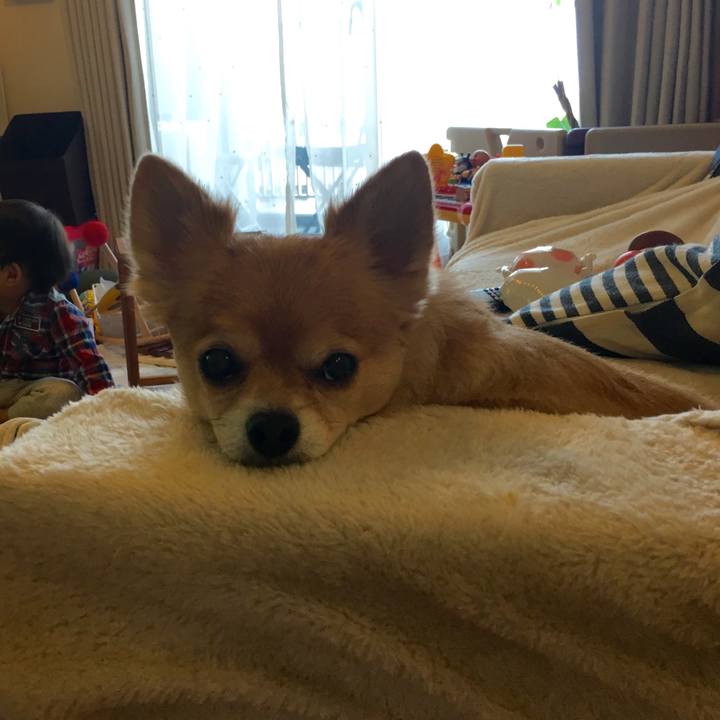 D4d8686f 594d 4e72 8f70 a78b53a7549d