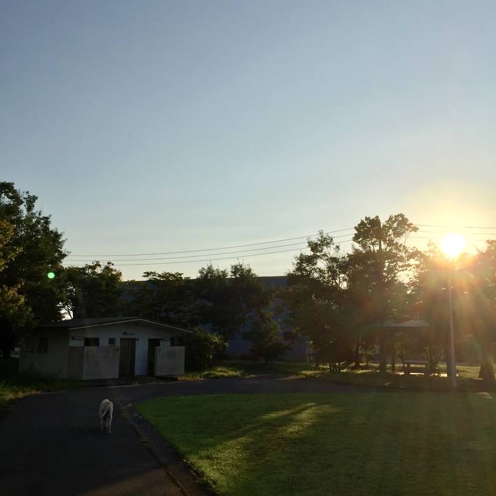 D4d87991 42e7 4544 b199 270a8f93d1b6