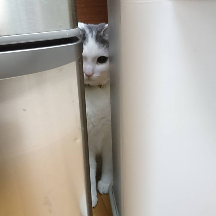 D4d8879e cc37 47c5 91b6 b87d860bcd48