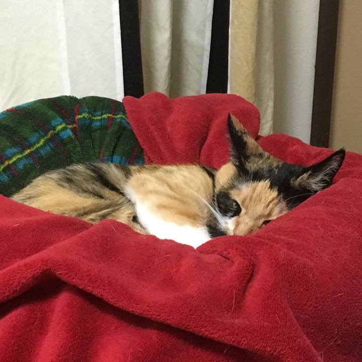 D4d8d77c 8127 4690 8ba4 84ebda644efa