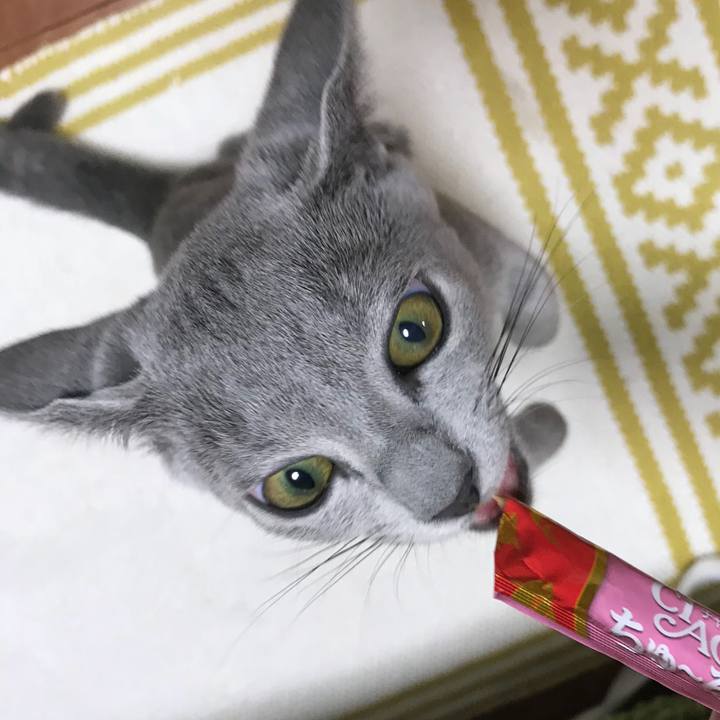 D4d96147 4b4e 4b49 b8a1 ed2a3a8ef2ce