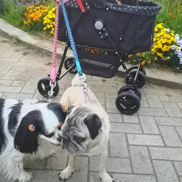 D4d9697b 09be 45fa b7df 2b20f679f8d5