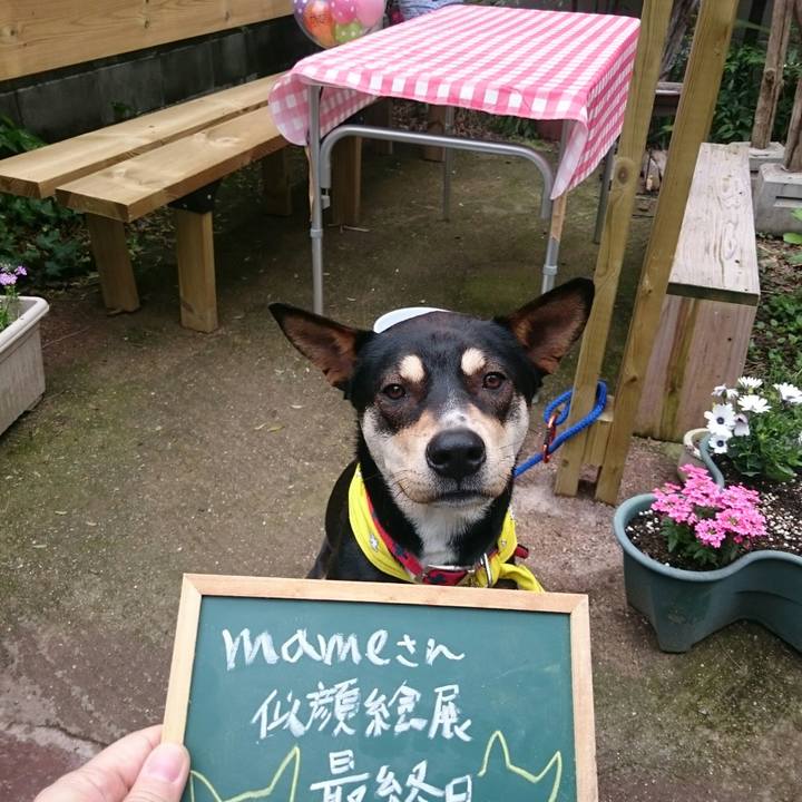 D4d9dc4b 6932 4668 8768 6ba30a6d06ce