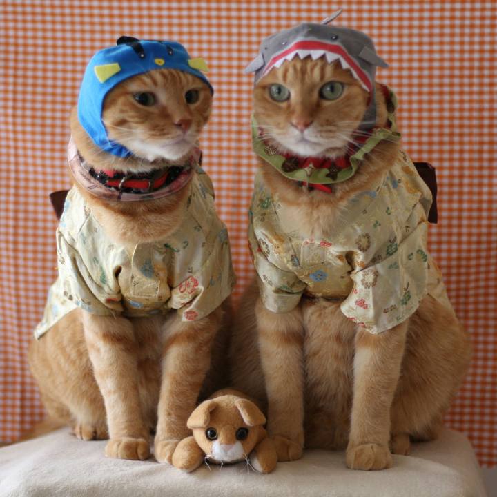 D4dac3fe 5f90 4edd 975a 1465a3b76c96