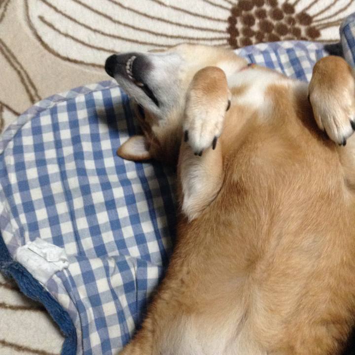 D4daeacd f189 4e78 b5fe e0446cdb734f