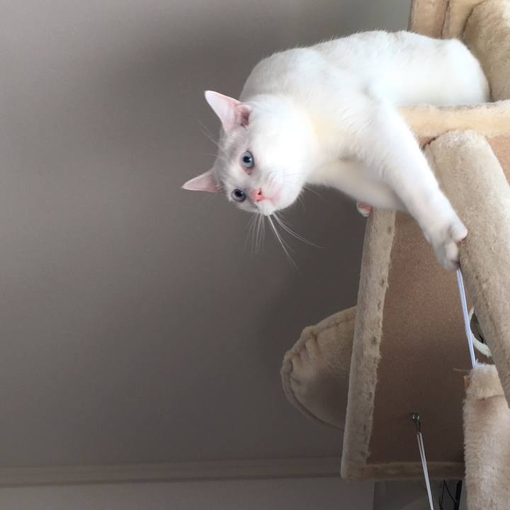 D4dc3375 68c5 4c25 8764 83c8ba5ec123