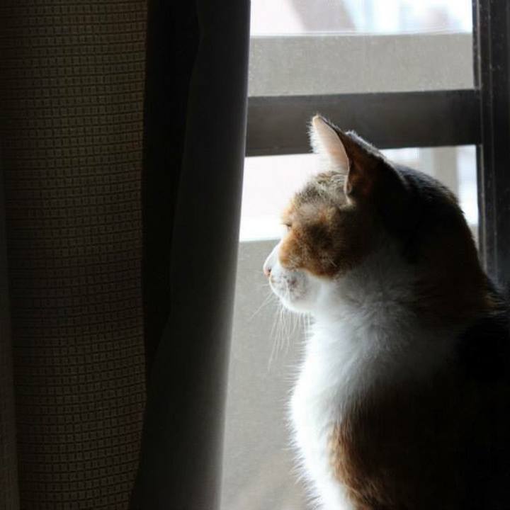 D4dc510d dd14 4121 9d66 3b1042fdd546