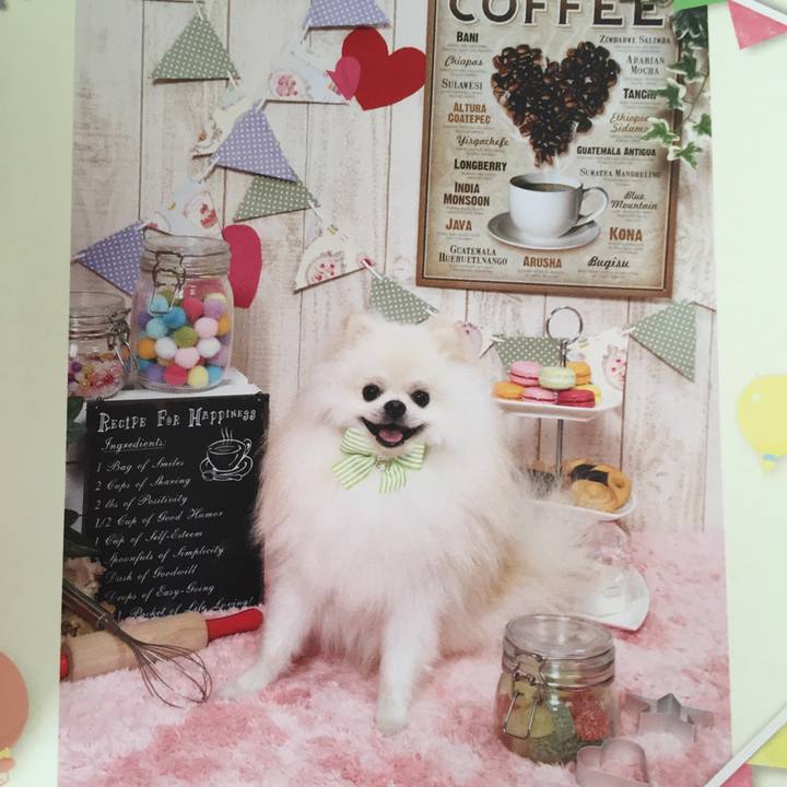 D4dd58bf ca77 4b80 a81b 2bc3aa183727