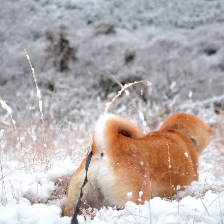 D4dda0e4 ed4b 4e88 8a05 c06dfd7993d1