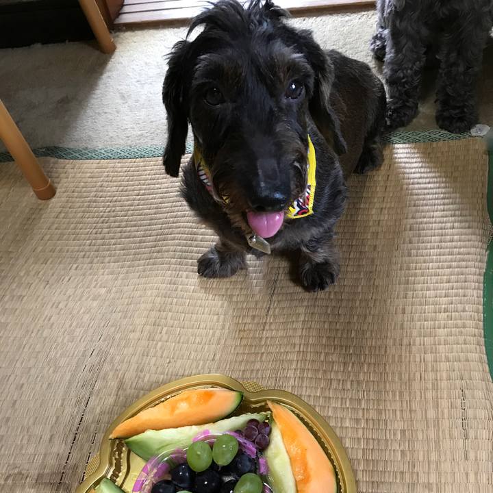 D4dde6ce 40b4 4ba6 a0b1 5f30271557a1