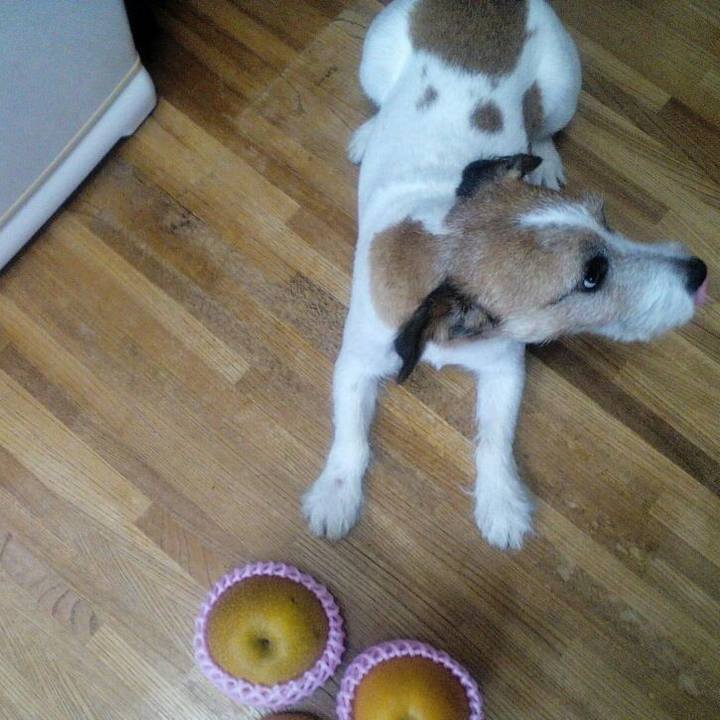 D4dea910 50e3 4d1e 94c6 de743105d5e8