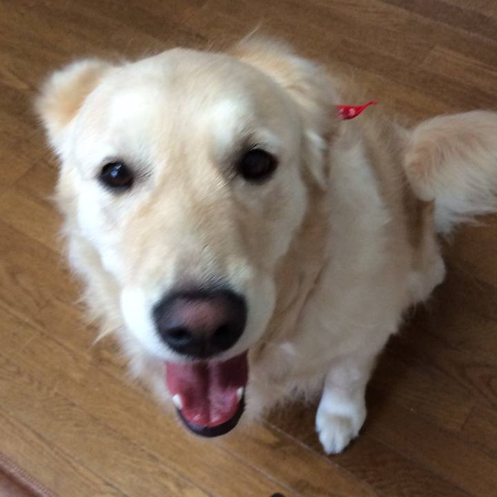 D4deced5 9c3f 4e77 b9b1 3f5d5b185c29