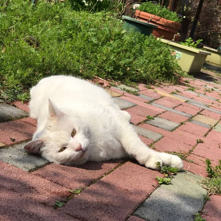 D4def65f 159e 4804 b20b 4f0ad680a825