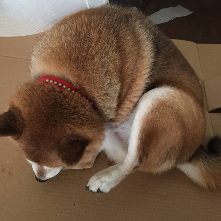 D4df8990 5b2e 46f2 a1eb 8c5774eeb522