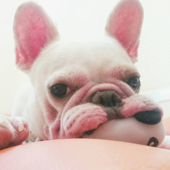 D4df9f1e 4304 4262 a4c2 e420daf31cc6