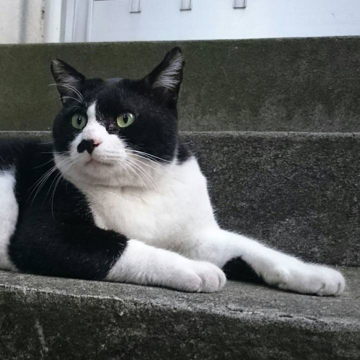 D4dfa22b 6204 4adc b4e9 587d6b32ed51