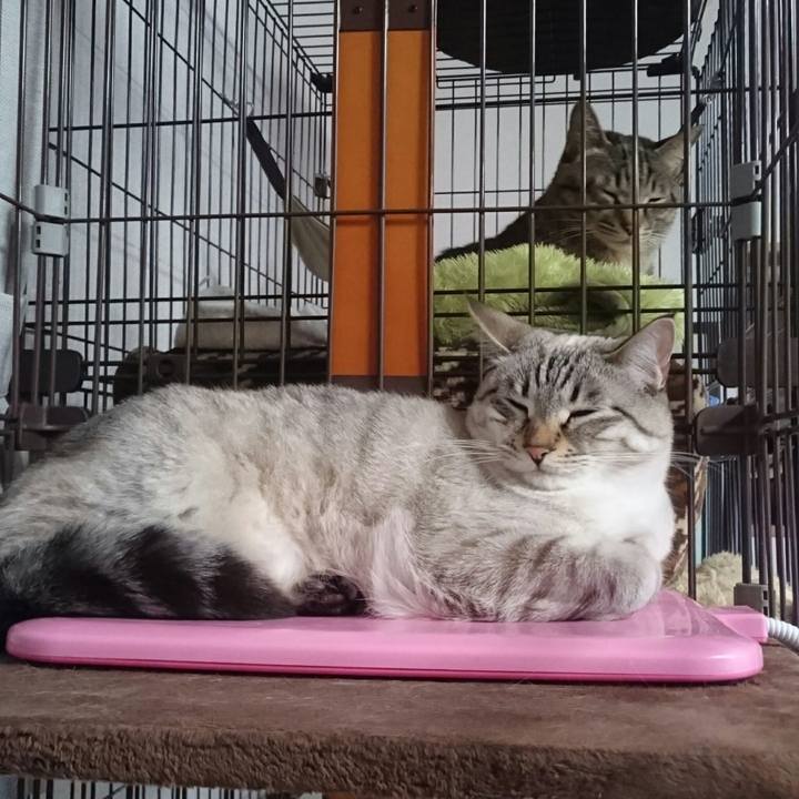 D4dfa3e6 c29f 4fab a79f 348fae7abd14