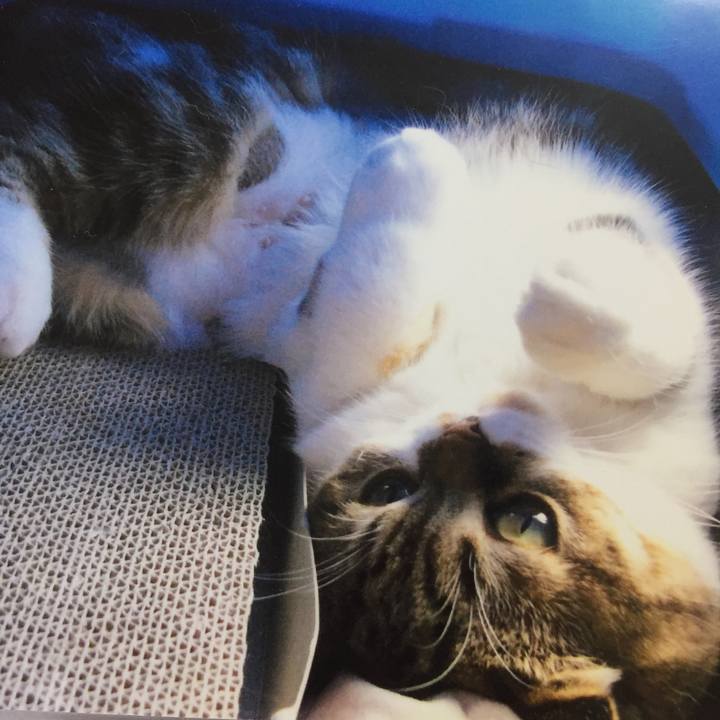 D4dff39d 3409 4c07 ba35 3158b92c4886