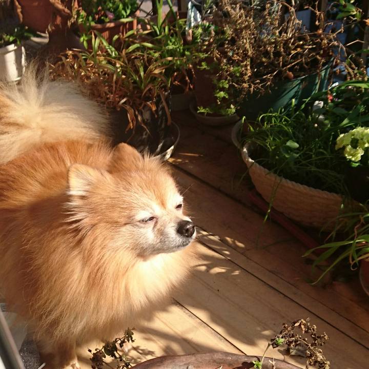 D4e09ece 7738 432a 8b81 7fd5479a008c