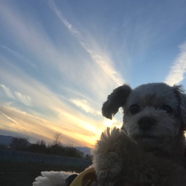 D4e0b70f 25ea 4d9c 8321 1eb70c95951e