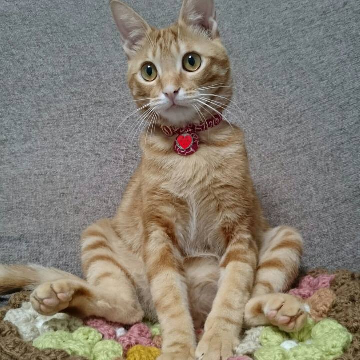 D4e15c1b ccef 495a 9516 d38e74547db7