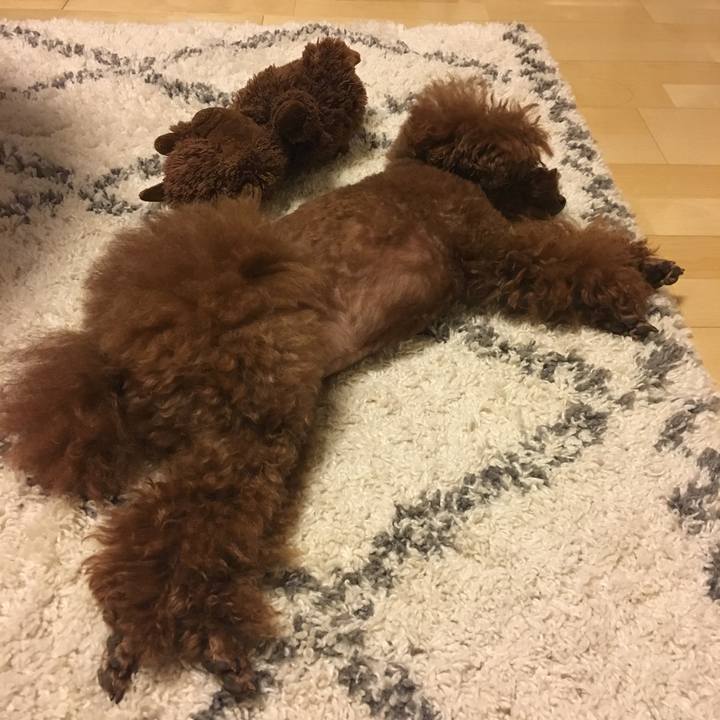 D4e1a3de 54eb 4ce1 a0d9 15ff555e100d