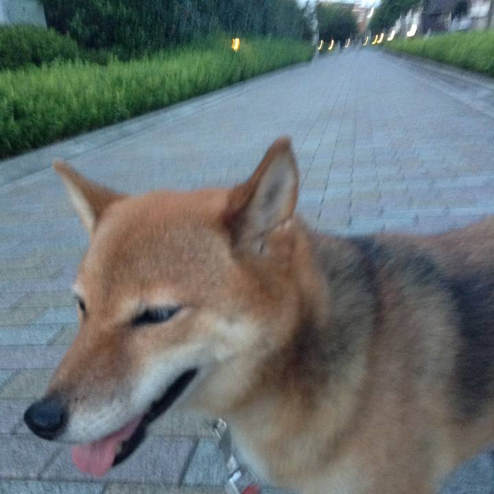 D4e27e2d 9799 4da3 9eda 2391e497a583