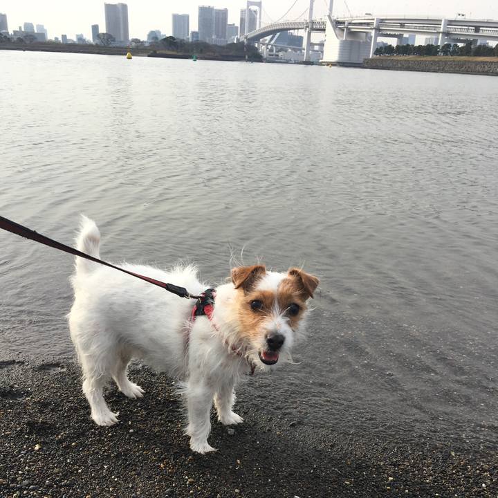 D4e31d43 50f6 4e7f 92bc 312a1527933a