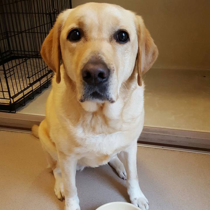 D4e49b46 d0ae 41d8 960a bff6446ca3d7