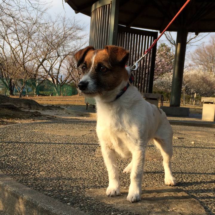 D4e52d61 eca1 4902 aee0 0f5a0b41be57