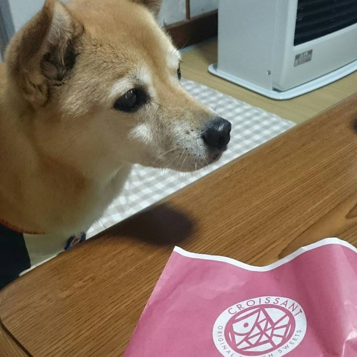 D4e53184 2d18 42d2 931f 0d65c2298f6c