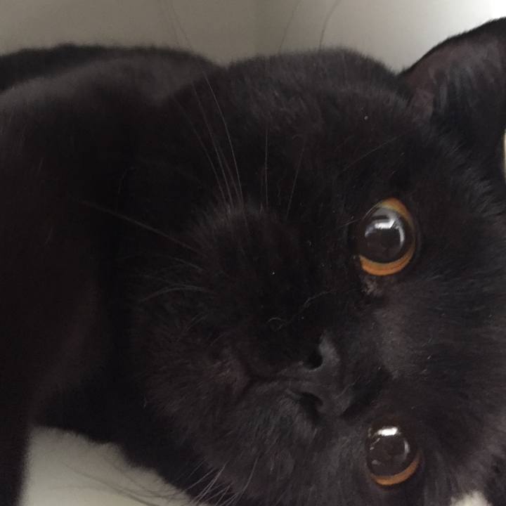 D4e5924b 577f 43de baab 10662d291a83