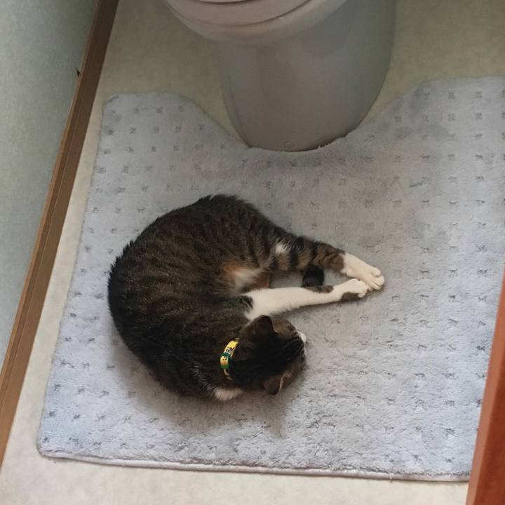 D4e5a3b0 4b62 4aa2 a698 00a9b56abe44