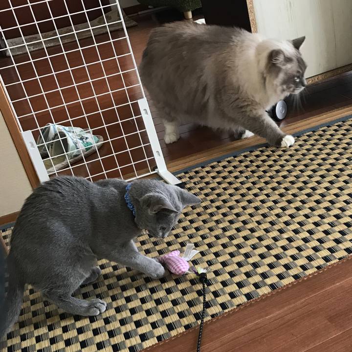 D4e5b452 8ed8 4cce 8026 30517548f32e