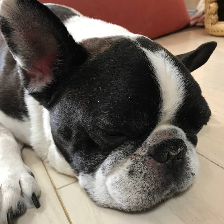 D4e5d819 2b3d 42ae 88f1 cc4b4e8bfe4b