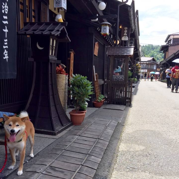 D4e6347d e81d 40a7 b773 e48ddbc7f64c