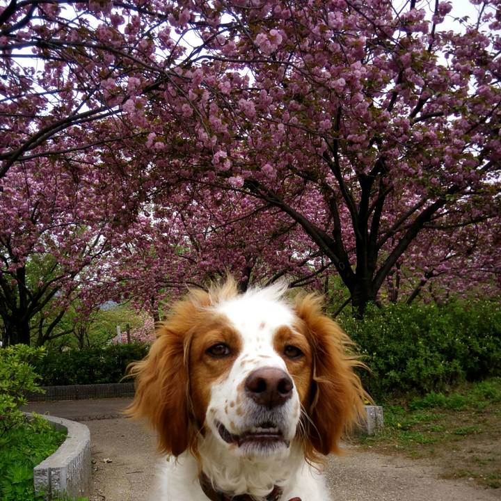 D4e73bcc 892a 4c26 a4ae 793f3427d6e8